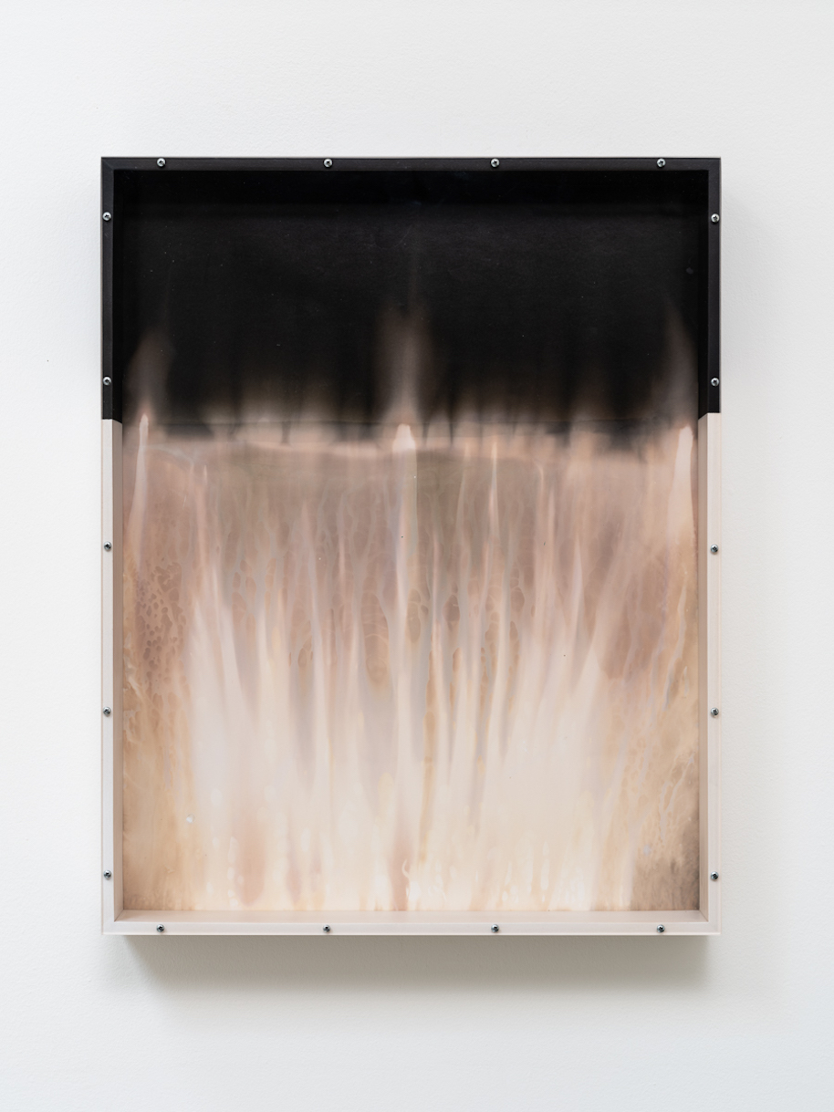 Gabriele Beveridge — Prophetic Souls